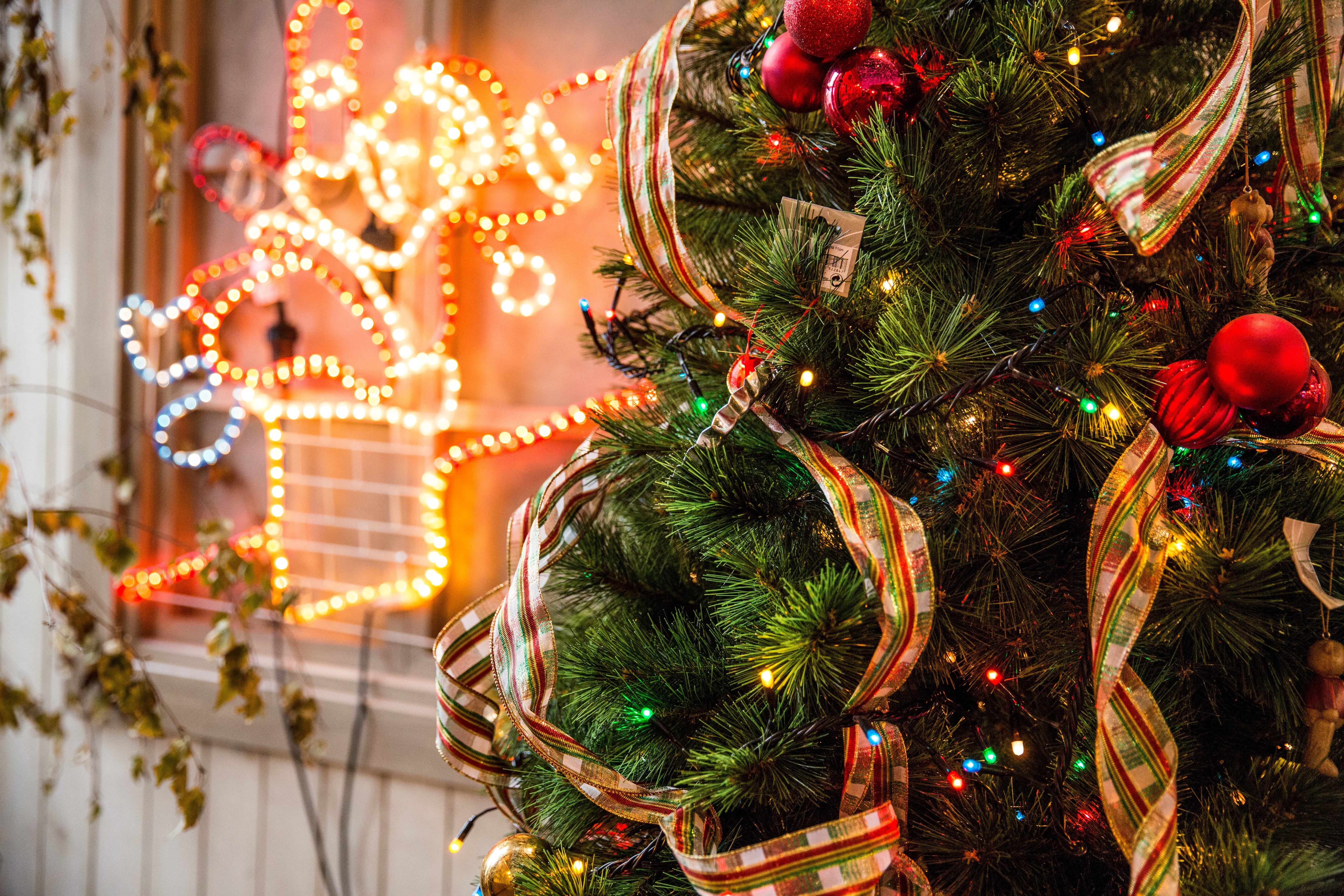 Christmas in Louisiana: 10 Places to Embrace the Holiday Spirit